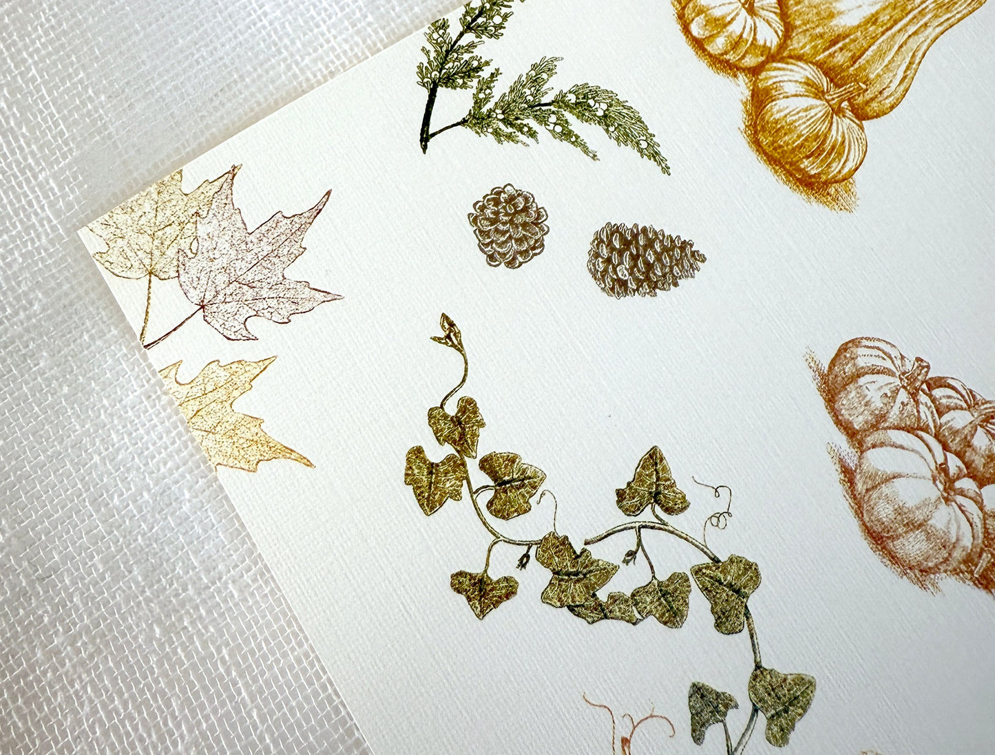 Autumn Harvest Placemats (Set of 12)