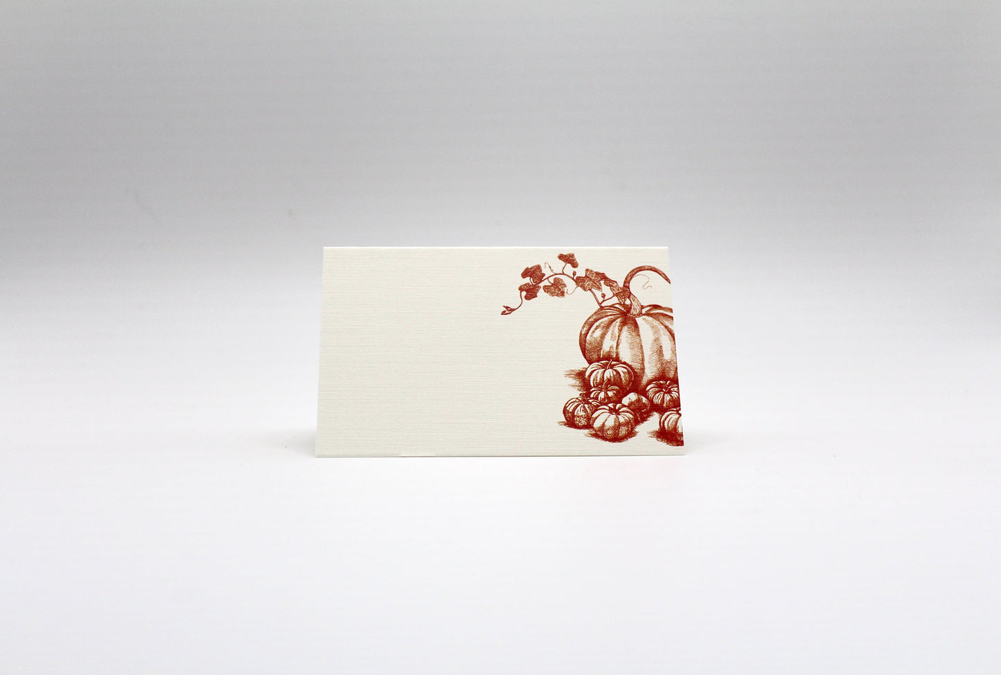 Pumpkins & Squash Place Cards – Double-sided Table Tents (Set of 12)