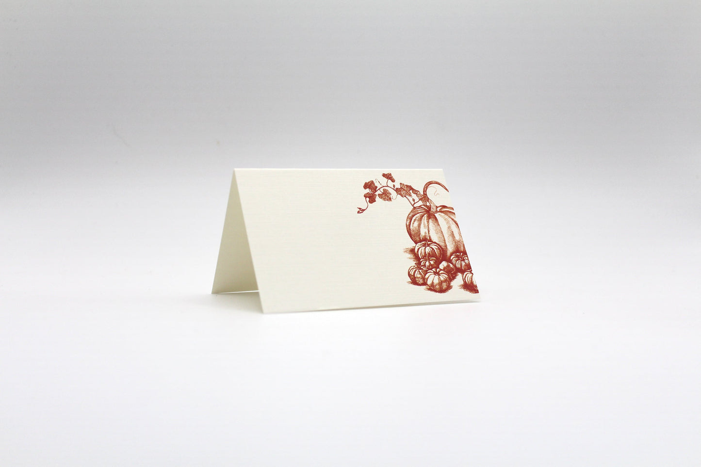 Pumpkins & Squash Place Cards – Double-sided Table Tents (Set of 12)
