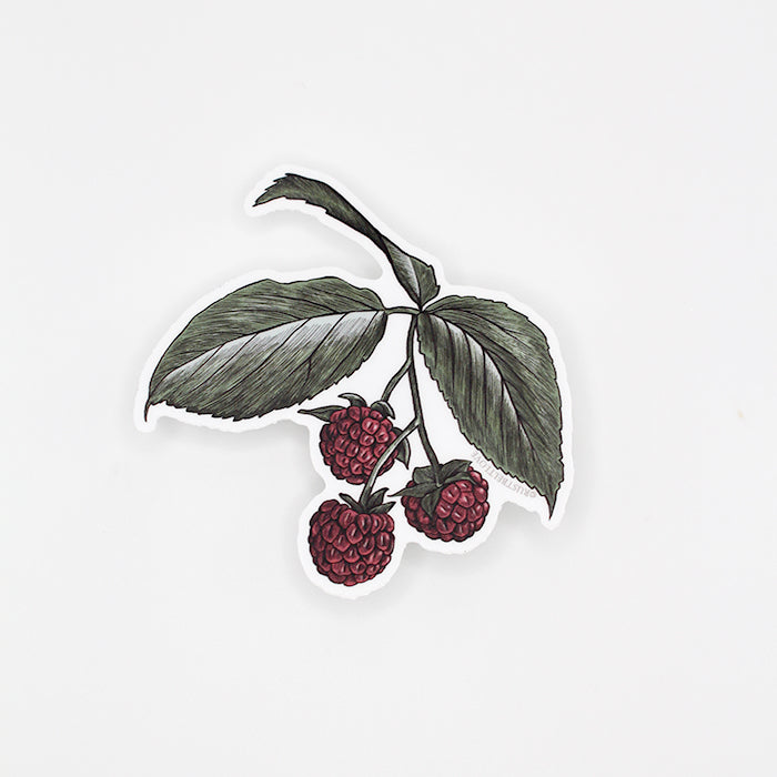 Raspberry Sticker