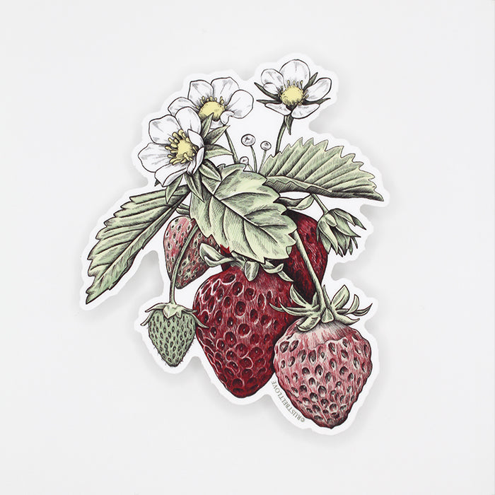 Strawberry Sticker