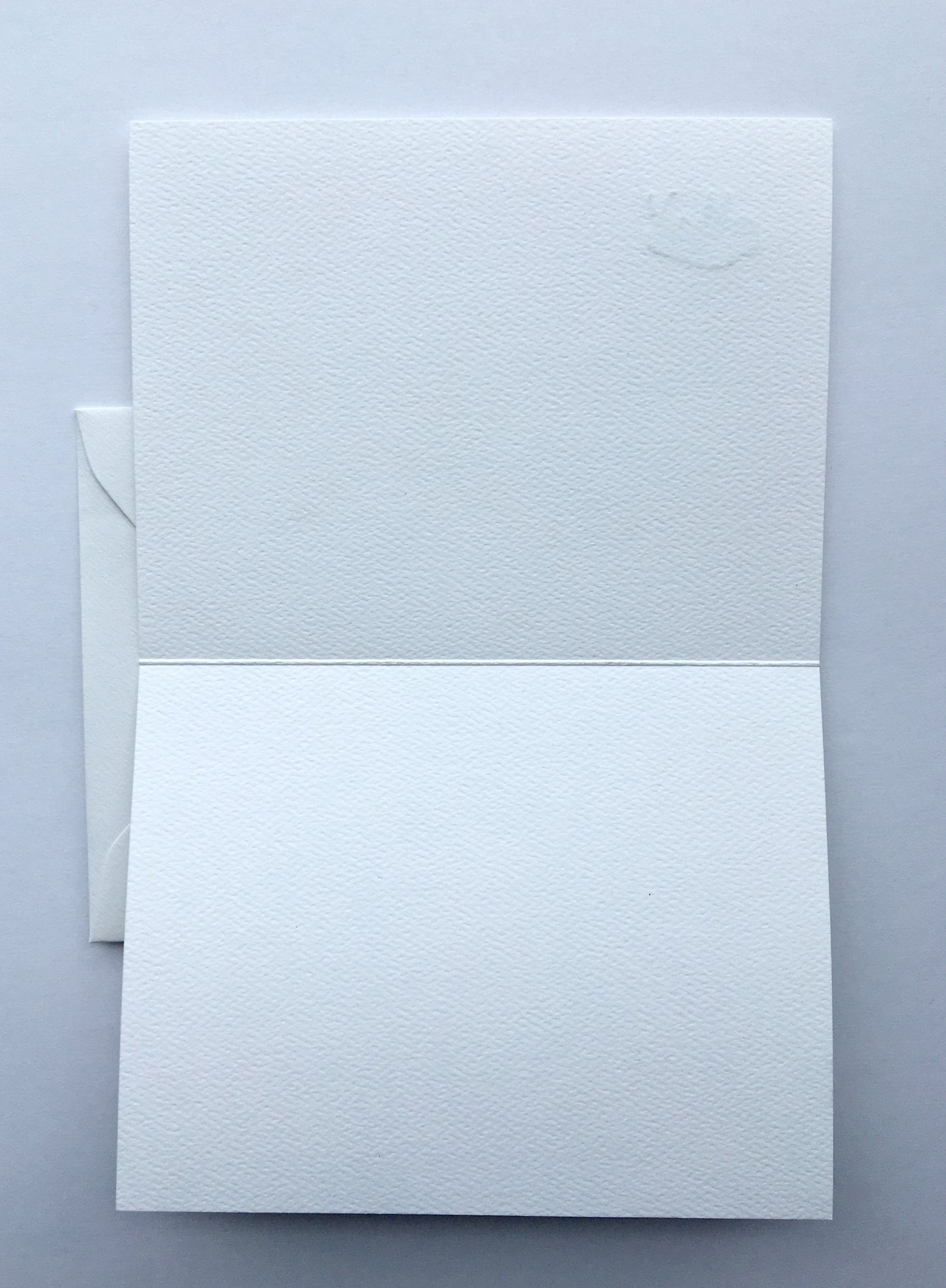 Tiny Buffalo Letterpress Card Pack