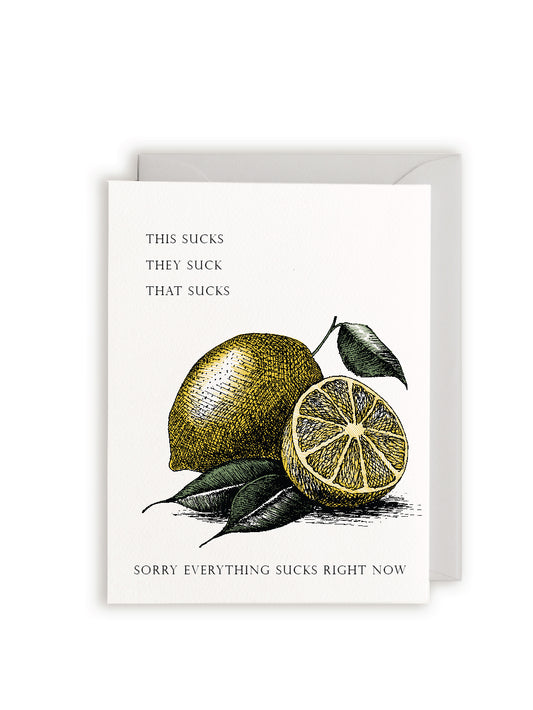 Sorry Everything Sucks Right Now Letterpress Greeting Card