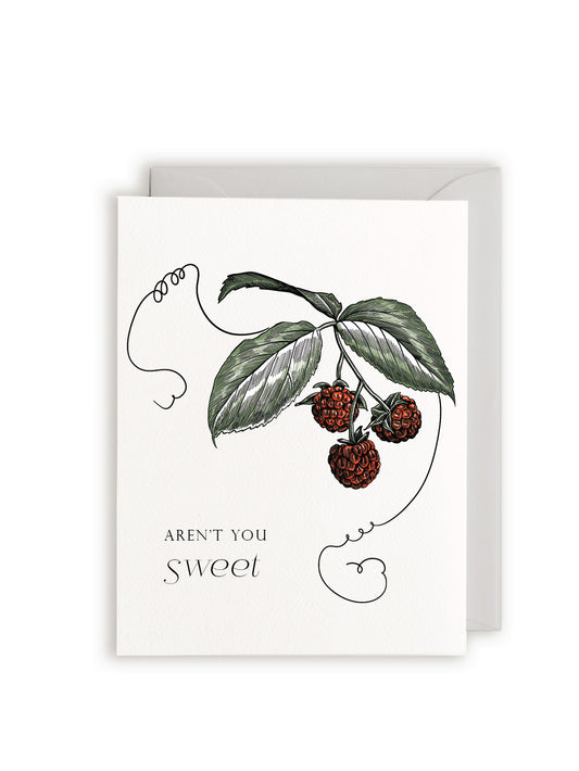 Aren't You Sweet Friendship Letterpress Greeting Card