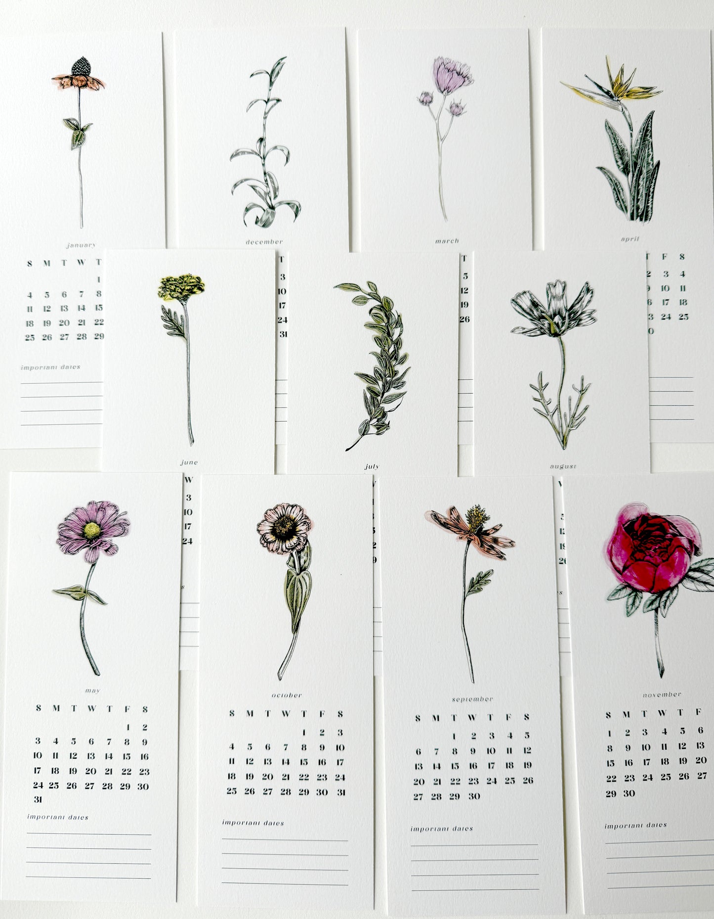 2026 Botanical Desk Calendar – Spiral Bound