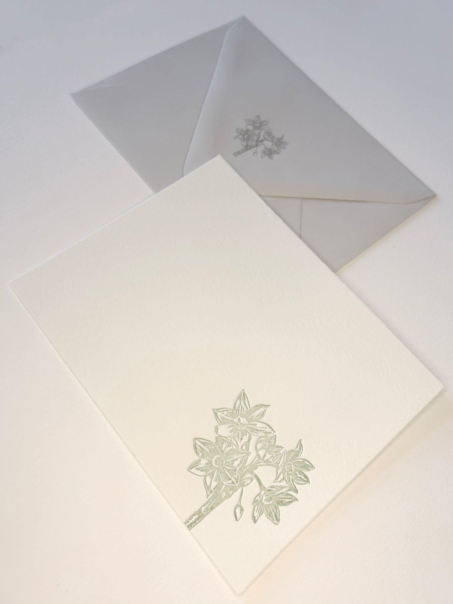 Paperwhite Flat Card Pack