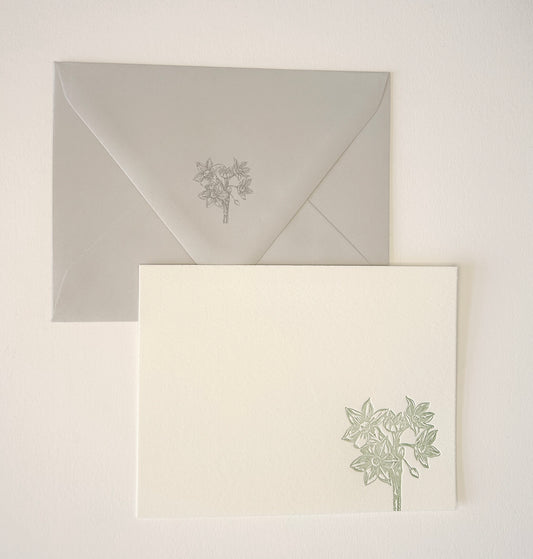 Letterpress flat note card with a green paperwhite by Rust Belt Love