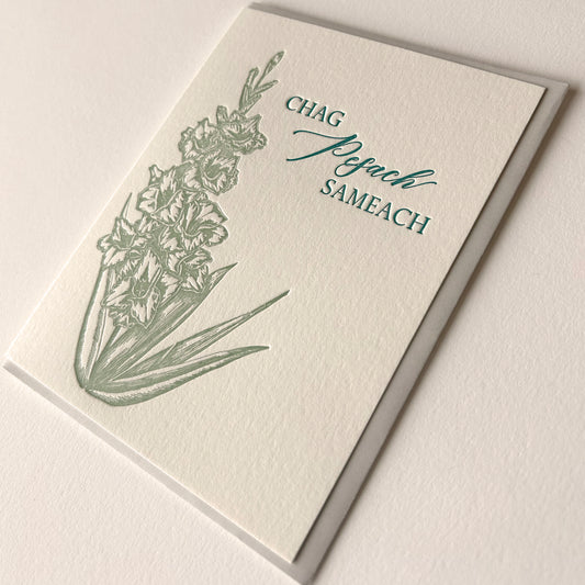Chag Pesach Sameach Letterpress Greeting Card