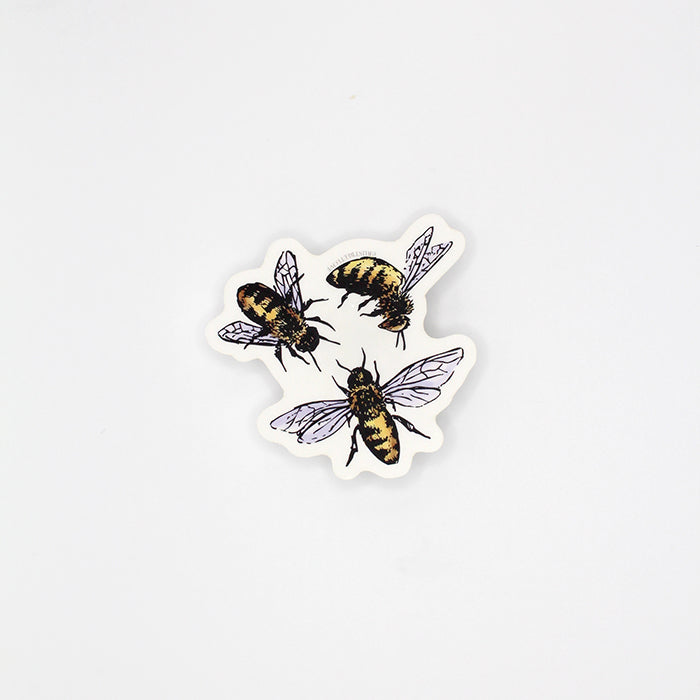Clear background Bee Sticker