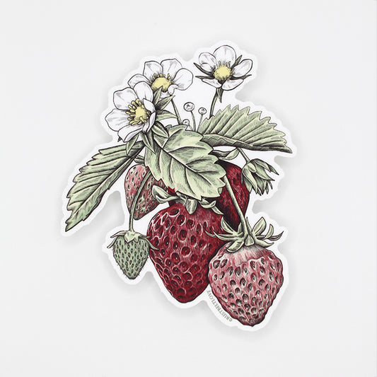 Strawberry Sticker